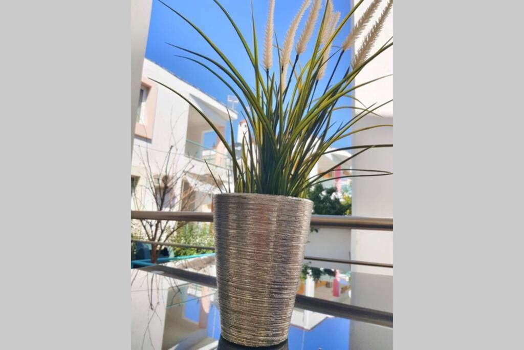 Polychrono New 2 Bedroom Apt. Just By The Sea! المظهر الخارجي الصورة